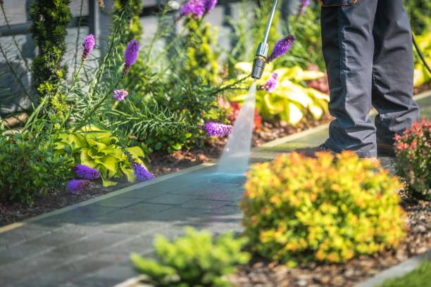 Best Gutter Cleaning  in Greentown, IN